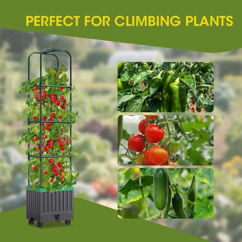 Small Space, Big Harvests