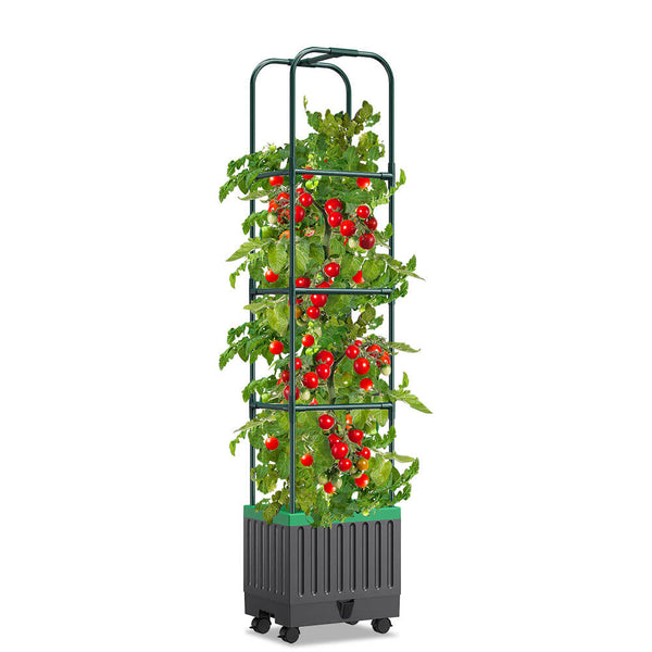 68.7" Raised Garden Bed Planter Box with Trellis
