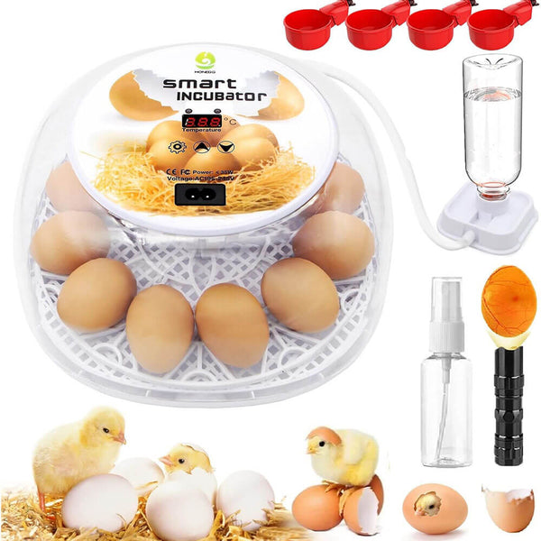 Egg Incubator - 12 Egg Capacity
