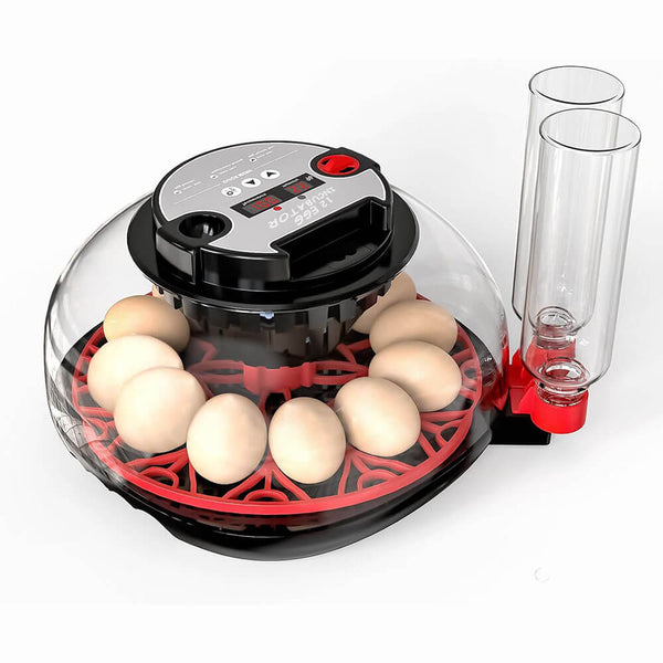 Incubators for Hatching Eggs - 12 Egg Capacity