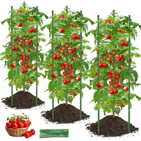 51.2 Tall Triangle Tomato Cages for Garden Climbing Plants Tomato Trellis